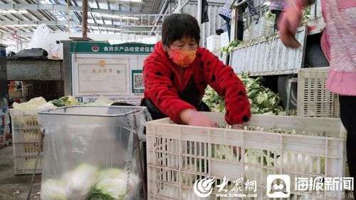 聊城 斷不了菜！記者實地探訪周公河農貿城，日供蔬菜2000噸，新鮮蔬菜零售無憂